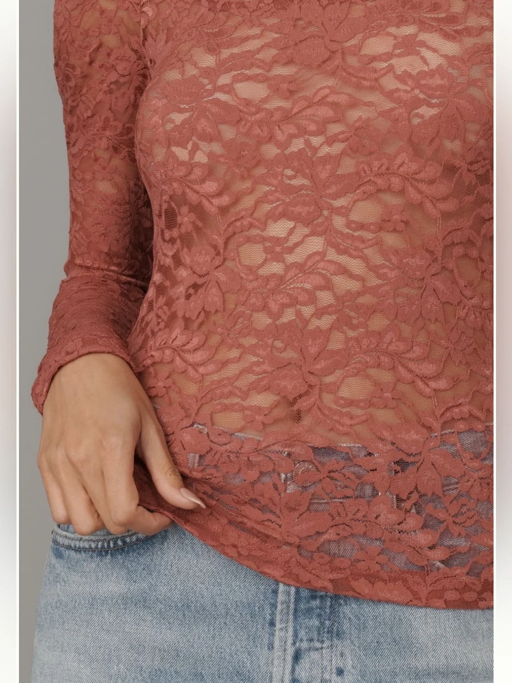 NWT Anthropologie Puff-Sleeve Sheer Lace Long Sleeve Top Size XL